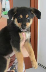 MAX MAX
