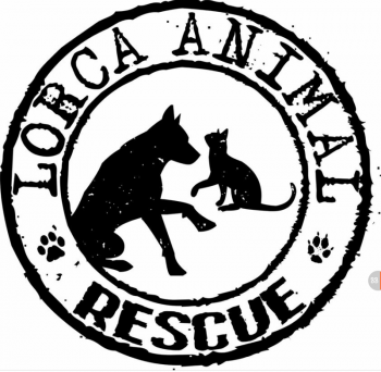 http://www.lorca-animal.com/ LORCA ANIMAL