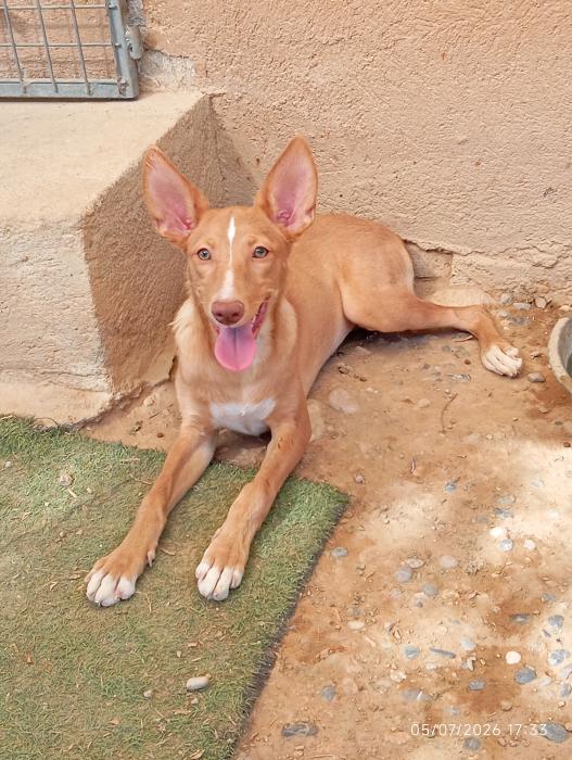 Lupita 