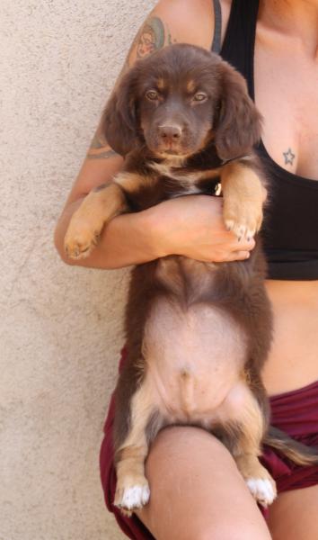 TRUCO